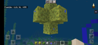 Screenshot_20210714-131044_Minecraft.jpg
