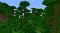 Jungle_O'_Trees.png