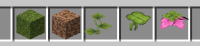 Minecraft 7_25_2021 9_03_51 PM (2).png