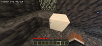 Screenshot_20210802-082313_Minecraft.jpg