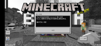 Screenshot_20210805-110311_Minecraft.jpg