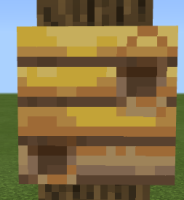 Face of bee nest.png