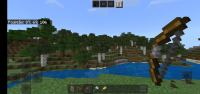 Screenshot_20210825-181225_Minecraft.jpg