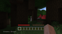 Minecraft_ PlayStation®4 Edition_20210904220559.png