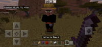 The villagers' texture turned black.jpg