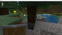 Minecraft Bedrock 1.17.30.24 Beta Tree on Gravel 01.png