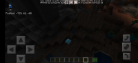 Screenshot_20211007-170010_Minecraft.jpg