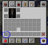 Survival Inventory (looks like normal glass with colored edges).PNG