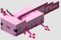 purple-axolotl-minecraft-.jpg