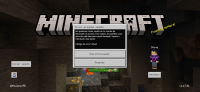 Screenshot_20211108-101105_Minecraft.jpg