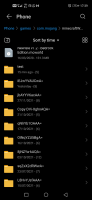 Screenshot_20211201_173932_com.huawei.filemanager.jpg