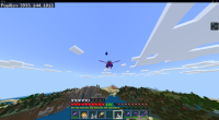 Bird glitching while elytra gliding 02, bedrock.png
