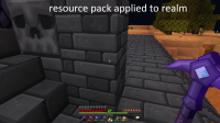 Realm with resource pack applied.png
