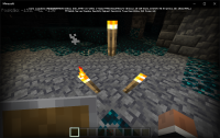 Structure void with torches.png