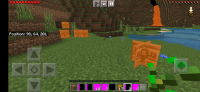 Screenshot_20220503-114048_Minecraft.jpg