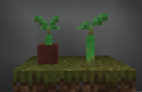 incorrect potted propagule model.png