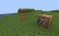 minecraft bug report image.png