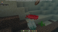 Minecraft Preview 2022-07-03 15-16-48_Moment(9).jpg