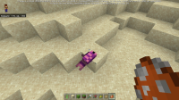 Minecraft Preview 2022-07-03 15-16-48_Moment(3).jpg