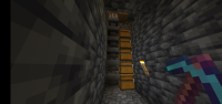 Screenshot_20220713-124502_Minecraft.jpg