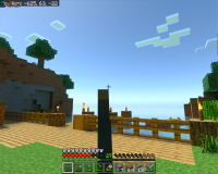 mincraft bug.png