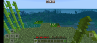 Screenshot_20220904-143626_Minecraft.jpg