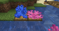 Corals in JE.png