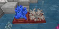 Corals in BE.png
