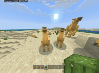 Camels.png