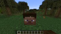 Steve-PlayerHead-22w43a.png