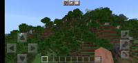 Screenshot_2022-12-01-21-54-46-794_com.mojang.minecraftpe.jpg