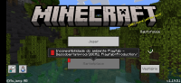 Screenshot_20221227-104221_Minecraft.jpg