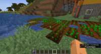Water farm.png
