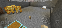 Screenshot_20230127_204027_Minecraft.jpg