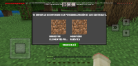 Screenshot_2023-01-30-10-55-08-545_com.mojang.minecraftpe.jpg