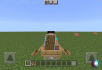 MCPE-166613 on iOS (1.19.51).png