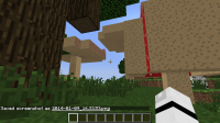 roofed forest generated on 13w02a.png