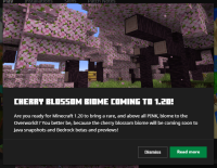 Cherry blossom Biome coming to 1.20 desc.png