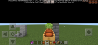 Screenshot_20230215-194002_Minecraft.jpg