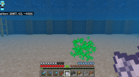 Bonemeal not working underwater after 1.20.png