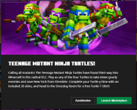 Teenage Mutant Ninja Turtles desc.png