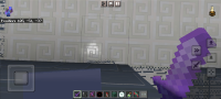 Screenshot_2023-08-05-11-57-52-112_com.mojang.minecraftpf.jpg