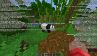 Another panda in the same world,bug happen,too.png