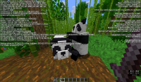 Panda being fed, notice the other panda's body has changed.png