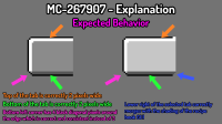 MC-267907 - Explanation.png