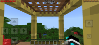 Screenshot_20240319_101246_com.mojang.minecraftpe.jpg