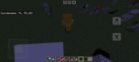 Screenshot_20240324_144009_Minecraft.jpg