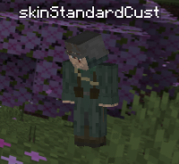 skinStandardCust.PNG