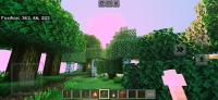 Screenshot_20240419_072309_Minecraft.jpg