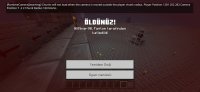 Screenshot_20240426_111736_Minecraft.jpg